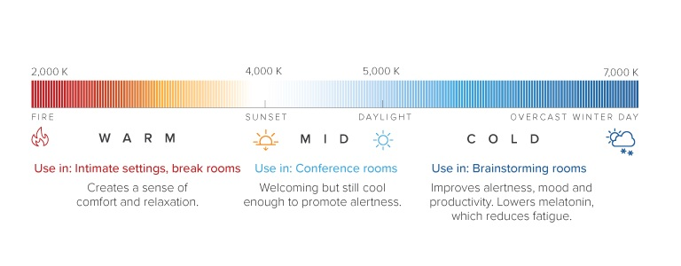 The effect of different intensities of light on the human body