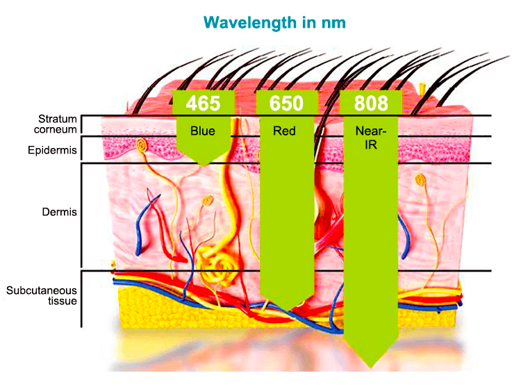 Wavelength in nm