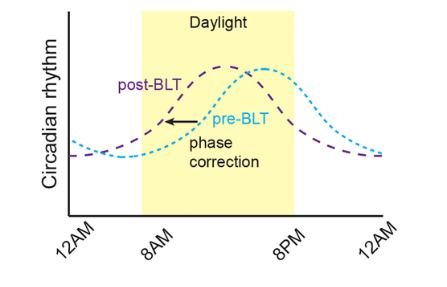 Processing before and after BLT i