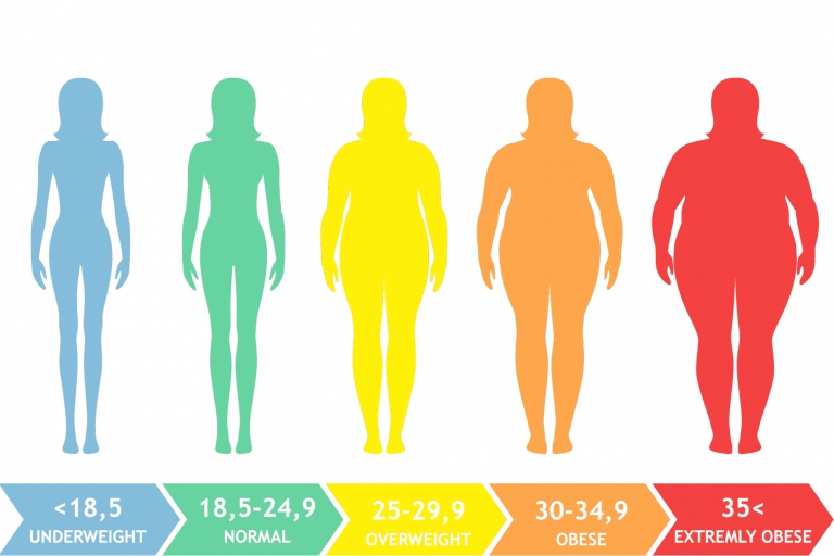 The Body Mass Index