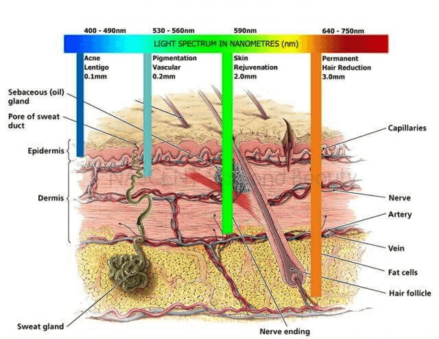 Light wavelength depending on the color