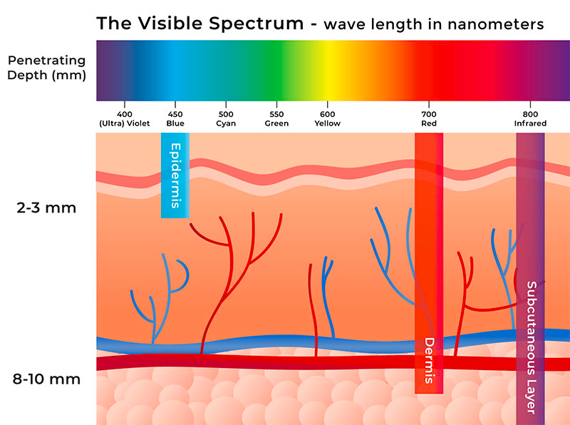 Length and depth of penetration of waves of various colors used in LED light therapy