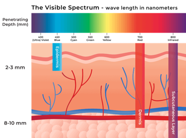The visible spectrum