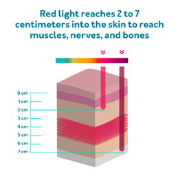 The penetration ability of red and infrared light