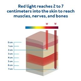 The penetration ability of red and infrared light