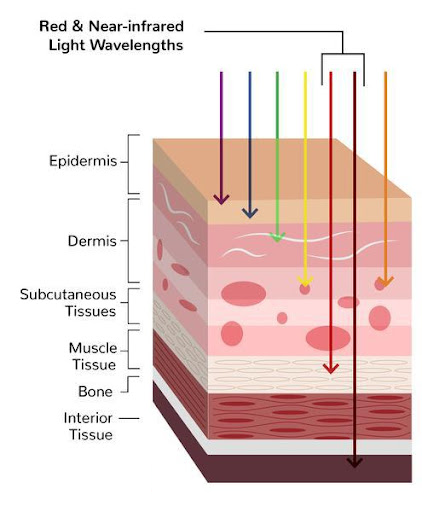 best near infrared light