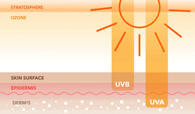 UVB and UVA