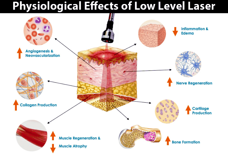 Physiological Effects of Low-Level Laser