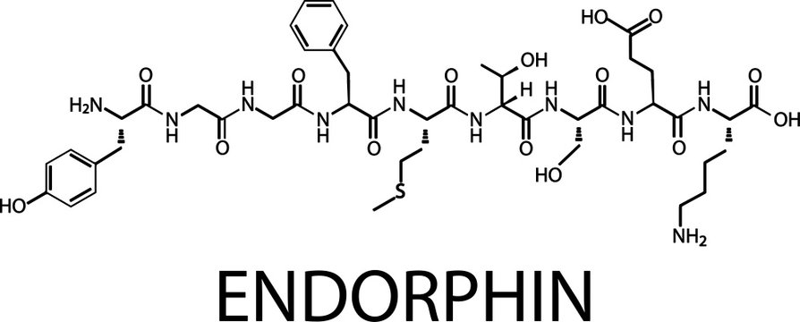 The chemical formula of endorphin